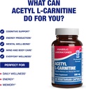 alcar-acetyl-l-carnitine-500mg---high-po-5.jpg