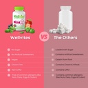 wellvites-beauty-gummies-sugar-free-biot-4.jpg
