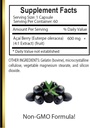 acai-berry-extract---antioxidants-supple-5.jpg
