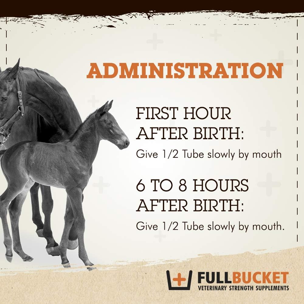 fullbucket-equine-foal-kickstart-paste-i-5.jpg