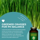 healthforce-superfoods-greener-grasses---5.jpg