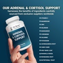 dr-berg-adrenal-cortisol-capsules---adre-6.jpg