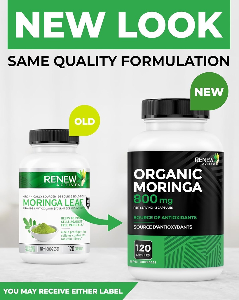 renew-actives-moringa-leaf-supplement-80-3.jpg