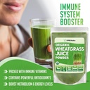xprs-nutra-organic-wheatgrass-juice-powd-2.jpg