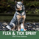 now-pet-health-spray-for-dogs-essential--4.jpg