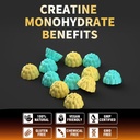 nutravita-creatine-monohydrate-gummies-f-4.jpg
