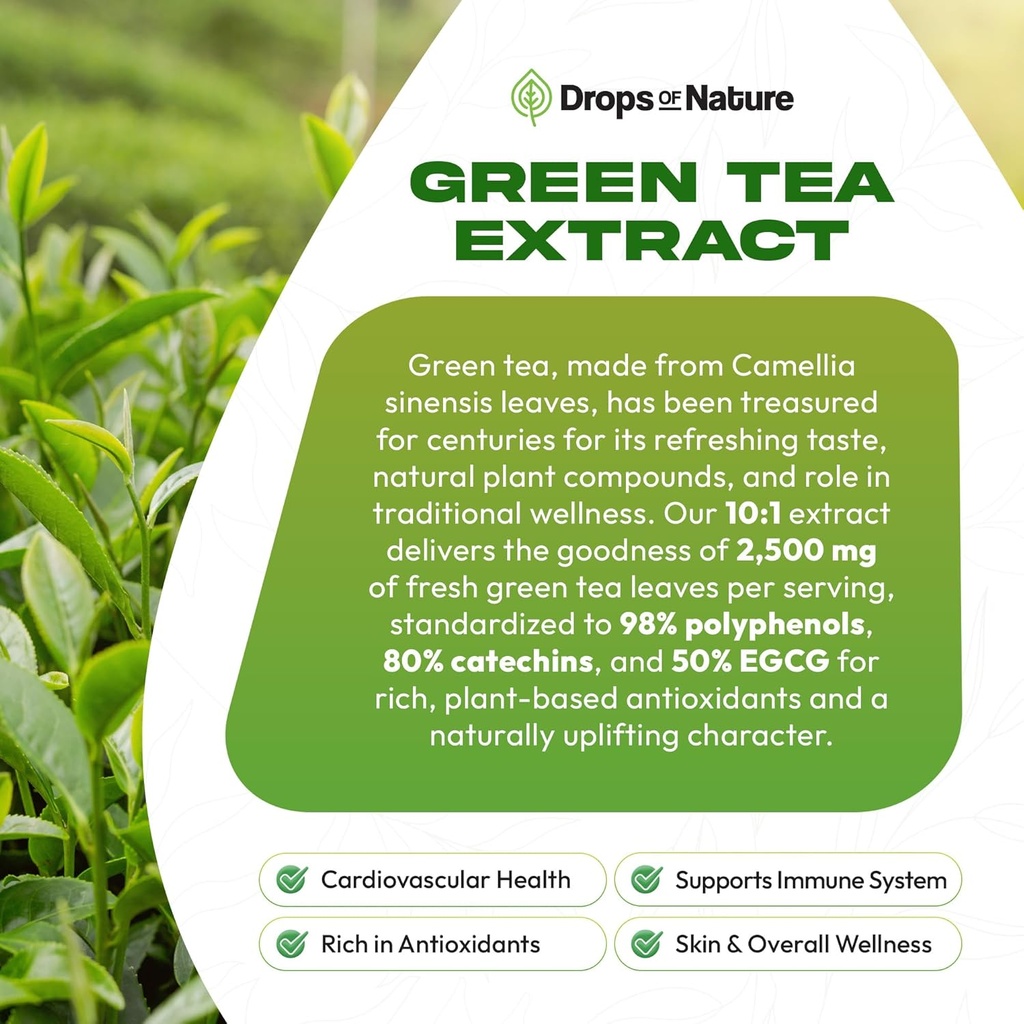green-tea-101-extract-50-egcg---green-te-5.jpg