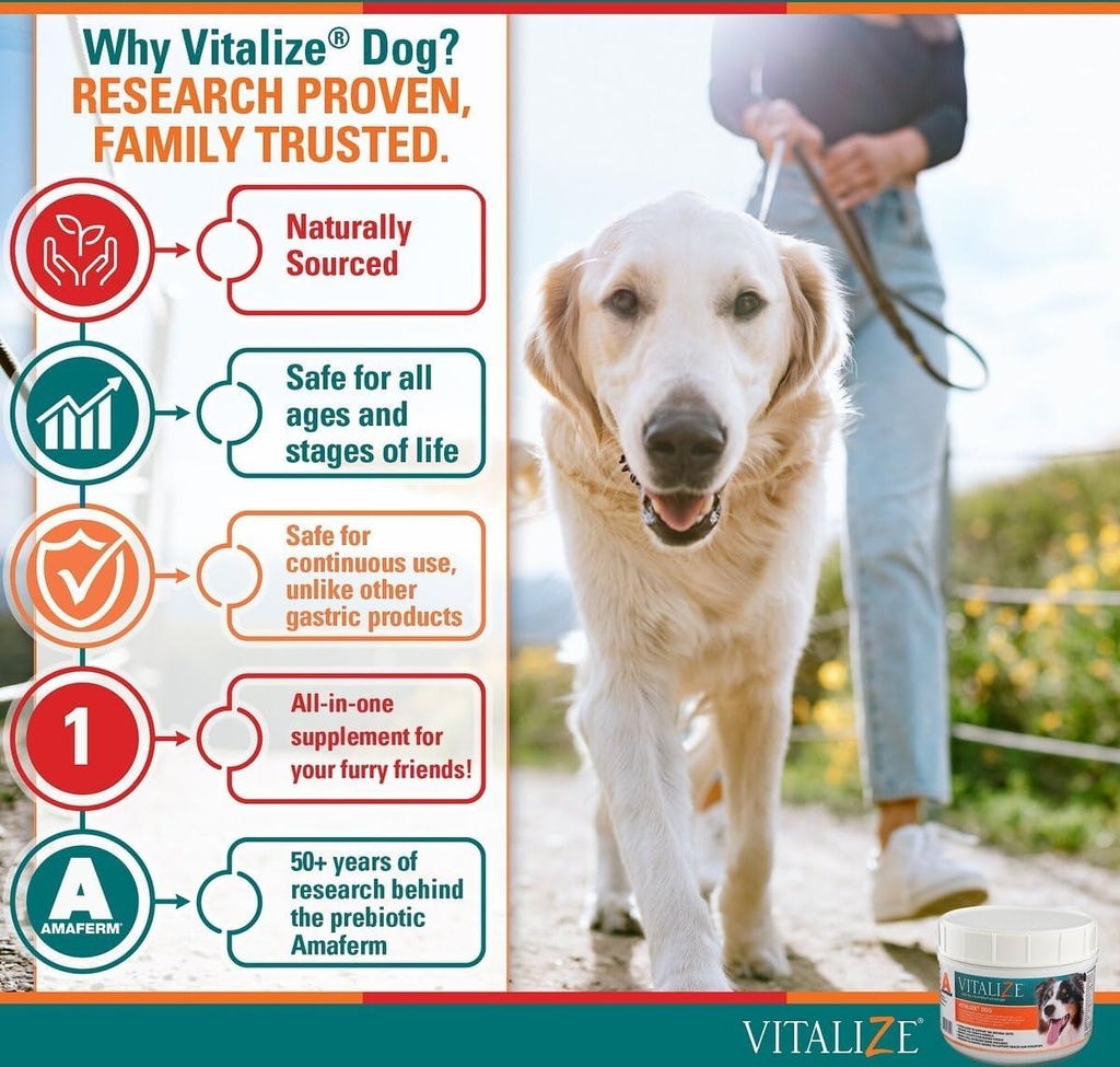 vitalize-dog-digestive-health-powder---r-3.jpg