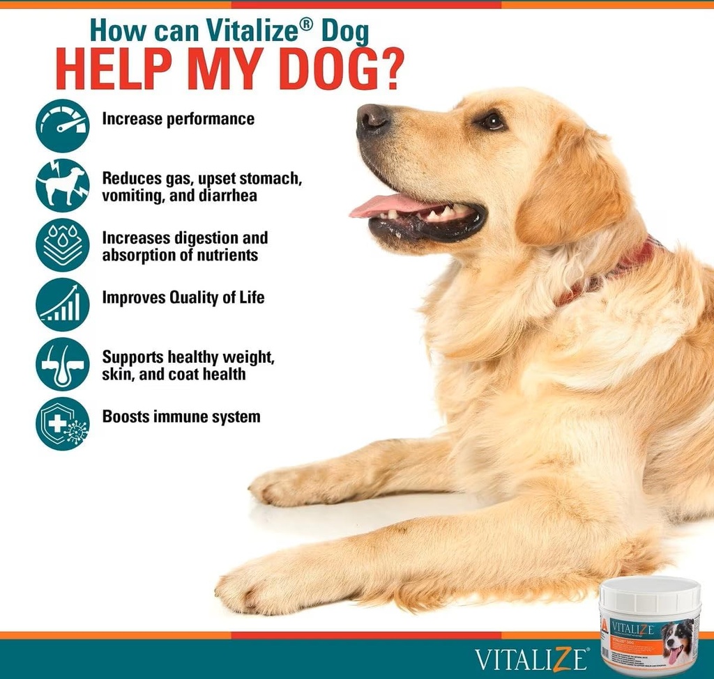vitalize-dog-digestive-health-powder---r-4.jpg