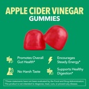 apple-cider-vinegar-gummies---organic-ac-3.jpg