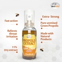 beelife-propolis-sore-throat-relief-spra-4.jpg