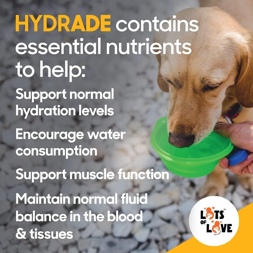hydrade-powder---electrolytes-for-dog-ca-3.jpg