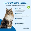 pet-wellbeing---blood-sugar-gold-for-cat-6.jpg