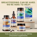 motherlove-more-milk-special-blend-tinct-4.jpg