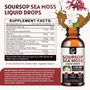 2-pack-soursop-graviola-liquid-drop-sour-2.jpg