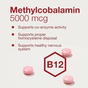 protocol-methyl-b12-5000mcg---vitamin-b1-4.jpg
