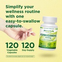 ashwagandha-500mg-stress-relief-mood-bal-5.jpg