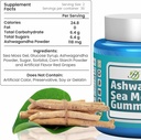 herboganic-ashwagandha-sea-moss-gummies--2.jpg