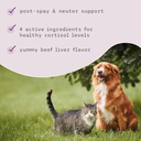 bark-whiskers-adrenal-support-for-dogs-c-5.jpg