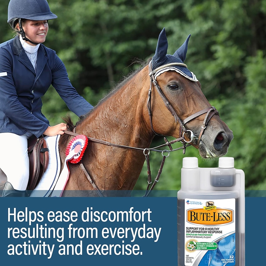 absorbine-bute-less-long-term-horse-comf-5.jpg