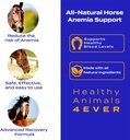 ha4e---horse-anemia-support---helps-prev-2.jpg