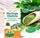 salutari-moringa-capsules-1260-mg-moring-3.jpg