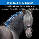 su-per-b-12-energy-horse-supplement---eq-4.jpg