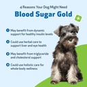 pet-wellbeing-blood-sugar-gold-dogs---ho-3.jpg