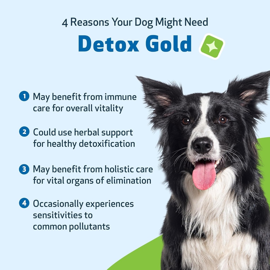 pet-wellbeing-detox-gold-for-dogs---gent-3.jpg