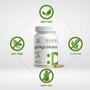 deal-supplement-ginkgo-biloba-500mg-per--5.jpg