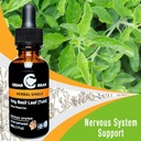 cedar-bear---holy-basil-leaf-a-liquid-he-2.jpg