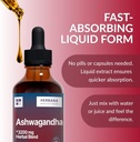 herbana-manufacturing-ashwagandha-liquid-6.jpg