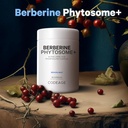 codeage-berberine-phytosome-supplement---3.jpg