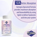 liposomal-hyaluronic-acid-supplements-10-2.jpg
