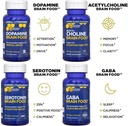 acetylcholine-brain-food---acetyl-l-carn-5.jpg