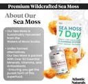 atlantic-naturals-sea-moss-superfood-bun-3.jpg