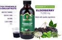 immunia-elderberry-syrup-helps-strengthe-3.jpg
