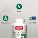 jarrow-formulas-mastic-gum-1000-mg---120-5.jpg