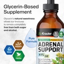 bio-krauter-adrenal-support-tincture---r-6.jpg