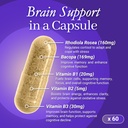 brain-supplement---memory-and-focus-rhod-4.jpg