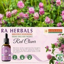 ra-herbals-organic-red-clover-liquid-ext-3.jpg