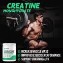 creatine-monohydrate-powder-500-grams-cr-5.jpg