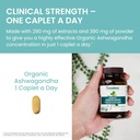himalaya-organic-ashwagandha-90-day-supp-5.jpg