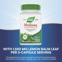 natures-way-melissa-lemon-balm-leaf-trad-4.jpg