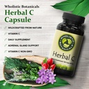 herbal-c-capsule-vitamin-c-supplements-a-3.jpg