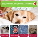 dog-uti-treatment-xsvseie-urinary-tract--4.jpg