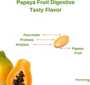 papaya-fruit-digestive-improve-digestion-4.jpg