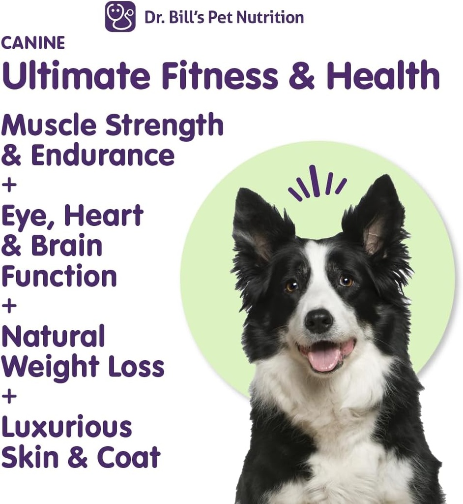 dr-bills-canine-ultimate-fitness-health--3.jpg