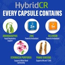 hybridcr-rapid-immune-support-supplement-4.jpg