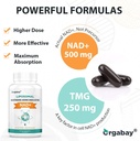orgabay-liposomal-nad-supplement-500-mg--6.jpg